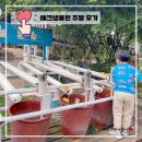 리얼리탈(주) | 예크생물원 여주 아이와 가볼만한곳 2주 연속 주말 방문 후기