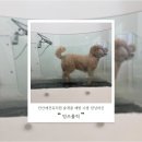 멍쓰홀릭 이미지