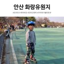 화랑유원지_경기도미술관주변 | 안산 화랑유원지 인라인스케이트장｜대여 가격 주차 맛집 정리