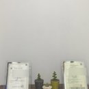 교반(오류점)