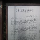 도심다원 이미지