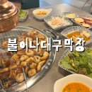 덕망로 | 울산 막창맛집 추천, 쫄깃함 끝판왕 불어나대구막창 울산덕신점 방문 후기