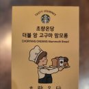 맘보스 | 스타벅스 빵 추천 초량온당 맘보스 맘보롱 앙금 후기 내돈내산