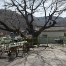 느티나무집 | 부모님 모시고 가기 좋은 가수원동 맛집 느티나무집, 시래기 솥밥정식 후기