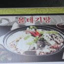 태평양볼테기 이미지