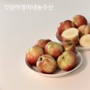 내일농수산 | 고당도 과일 복숭아 추천, 갓담아영이네농수산 신비복숭아