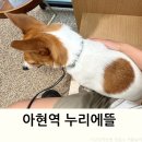 동물병원 누리에뜰 이미지