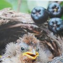 이소농장 이미지