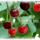 달팽이의 꿈 이미지