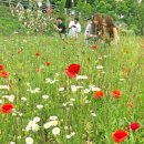 중랑천변1(노원교) 이미지