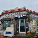 방어축제거리 | 모슬포항 방어축제거리 조개찜 맛집 해물오빠_서귀포시 대정읍 모슬포 맛집 (2차 금난이네)