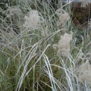 장다리천 이미지