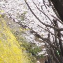 창원기계공업고등학교 이미지