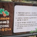 코코스협재