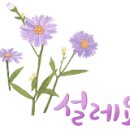 컴퓨레이터