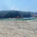 유진태양광발전소 이미지