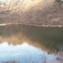 심청지 Daum카페