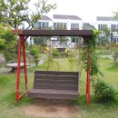 아모렉스 이미지