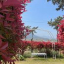 비쉬펜션 이미지