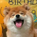 김밥홀릭 이미지