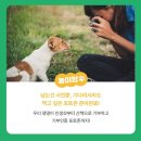 펫츠런 이미지