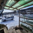 (주)더파크모터스 | ⭐️포천 주파크 -서울 근교 아이랑 가기 좋은 실내 동물원 /내돈내산 솔직후기!⭐️