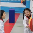 푸른태권도 이미지