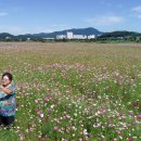 오남2리 이미지