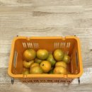 소랑소랑 인제주 이미지