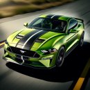 워시카랩 이미지