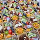 양양 태권도장 이미지