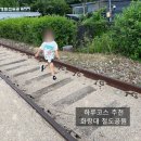 화랑대역사 | 서울 아이와 가볼 만한 곳! 화랑대 철도공원 하루 코스 추천 (노원기차마을·기차카페 후기)