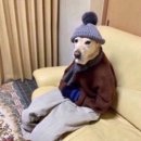 가야국민체육센터 이미지