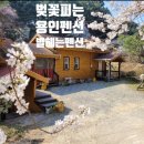 별헤는 펜션 이미지