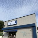 대구 월광수변공원 애견동반 아이와 캠프닉 [놀멍]후기