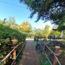 삼익세차장 이미지