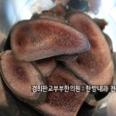 경희판교부부한의원 이미지