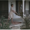 다리 bridges 이미지