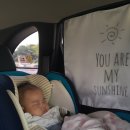 영월야구장 이미지