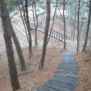 느린꼬부랑길 이미지