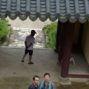 샘밭약국 티스토리
