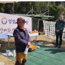 입암초등학교 티스토리