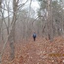 호남정맥 6구간 - 추령에서 강선굴재(17km) 이미지