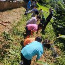 청원초교 이미지