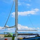 율포해수욕장 이미지