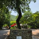 장강여관 | 사찰 안 해남 삼산면 카페❤️카페 유선❤️ 내돈내산 후기 #해남카페 #대흥사카페 #유선관카페 #전통카페...