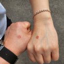 작전 합기도 이미지