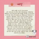 대한켄넬 이미지