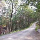 남북리 경로정 이미지