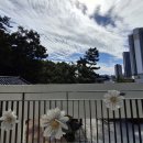 한복문화관 이미지